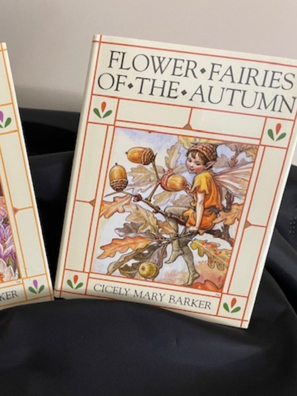 Flower Fairies of the Autumn Hardcover by Cicely Mary Barker (Author) NWT